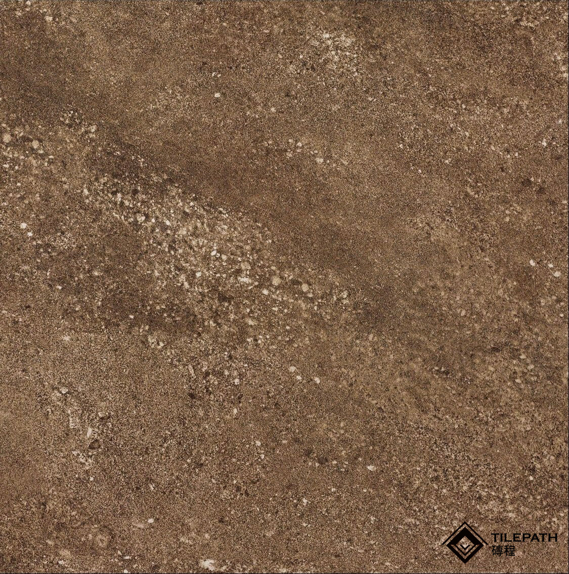 雲淡仿古磚 ;樣板