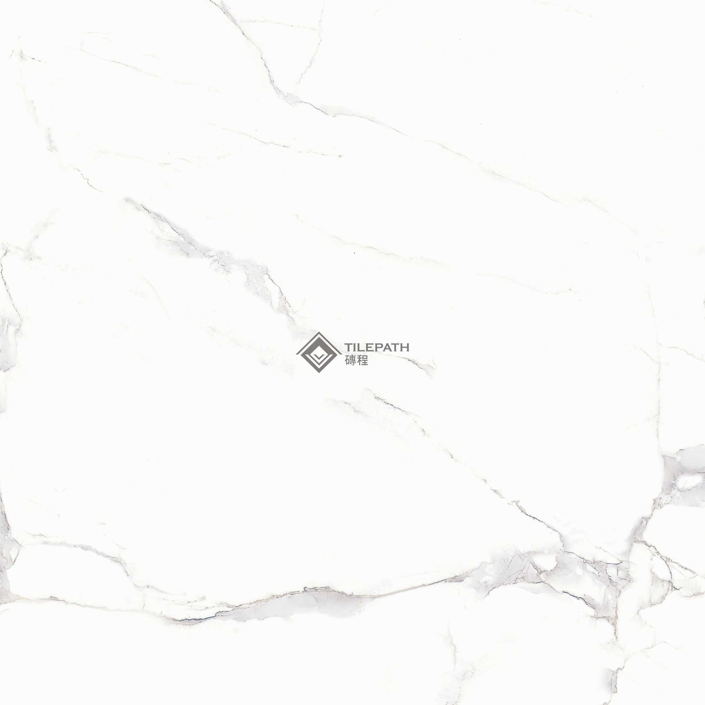 銀白瓷雲大理石磚 ;樣板