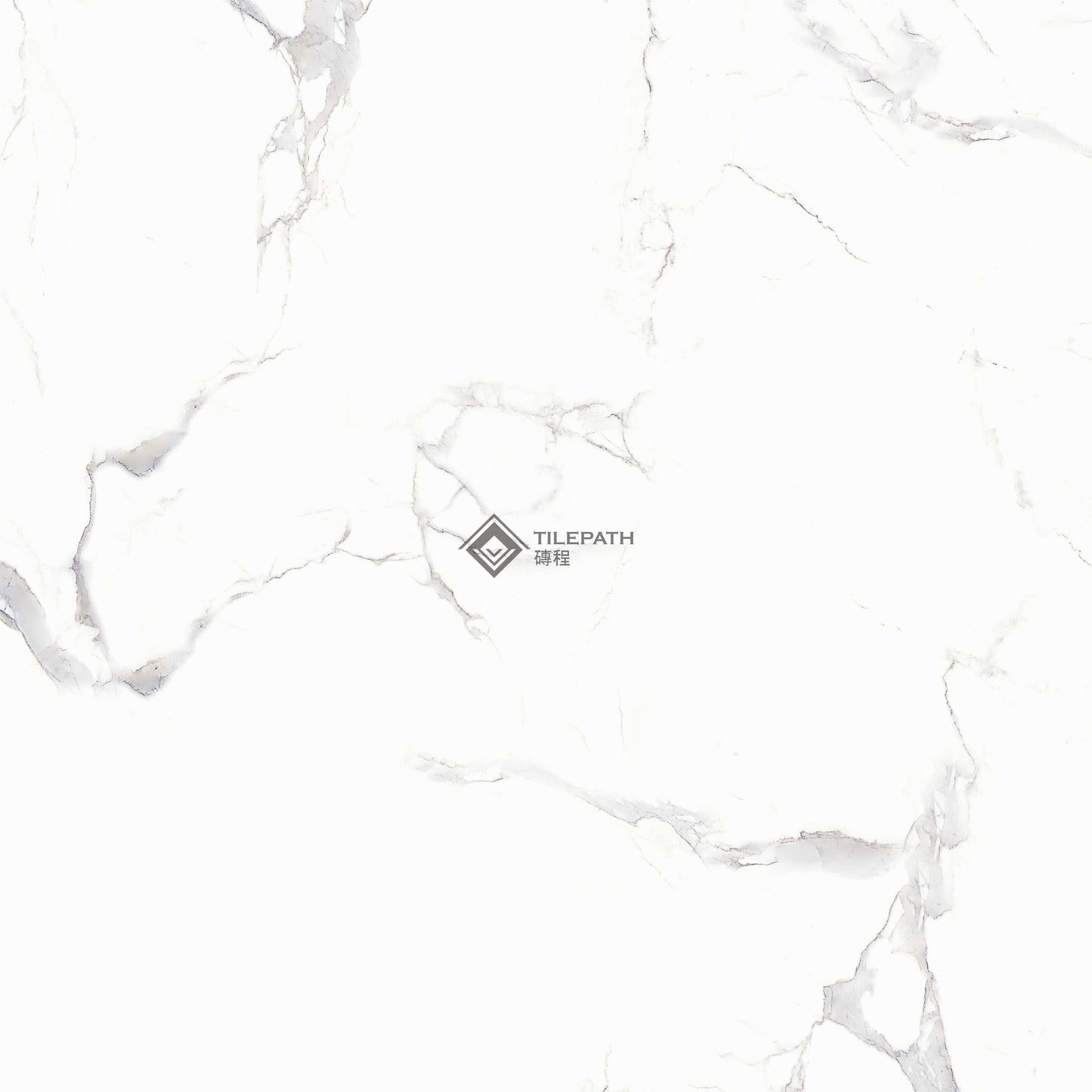 銀白瓷雲大理石磚 ;樣板