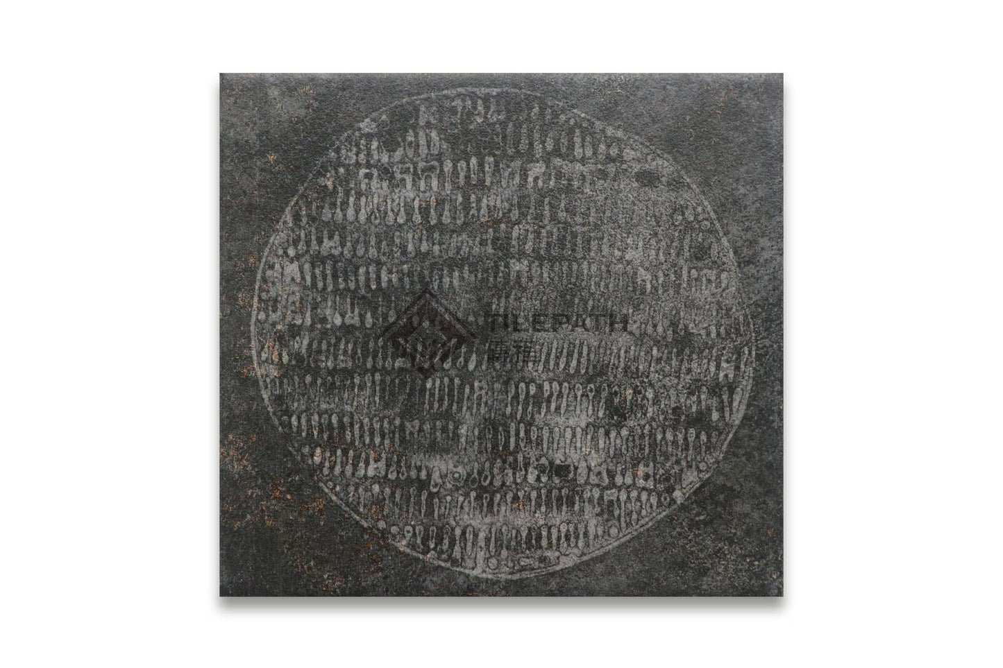 自然之印花墨金磚 效果圖
